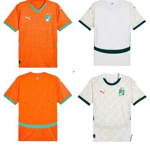 MAILLOT DES ELEPHANTS